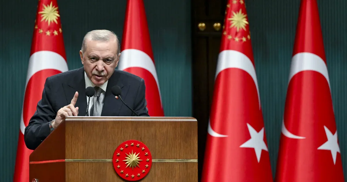 Arte: Europe turns a blind eye to Erdoğan's authoritarian moves in exchange for a helping hand