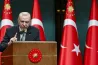 Arte: Europe turns a blind eye to Erdoğan's authoritarian moves in exchange for a helping hand