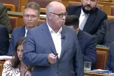 Videón, ahogy több ellenzéki képviselő mikrofonját is elnémították