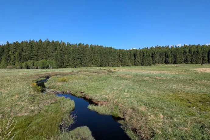 A Hohes Venn, azaz magas mocsár, Belgium legmagasabb pontja – Fotó: Tichy Roland