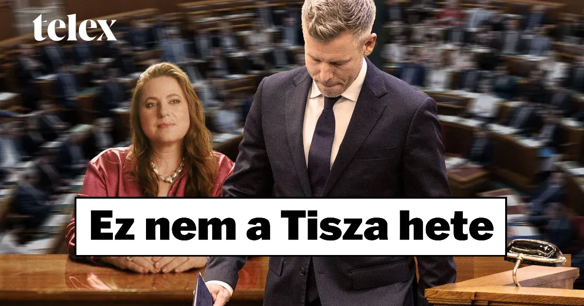 Polgár Judit elutasította a köztársasági elnöki jelölést a Tisza reformjai közepette