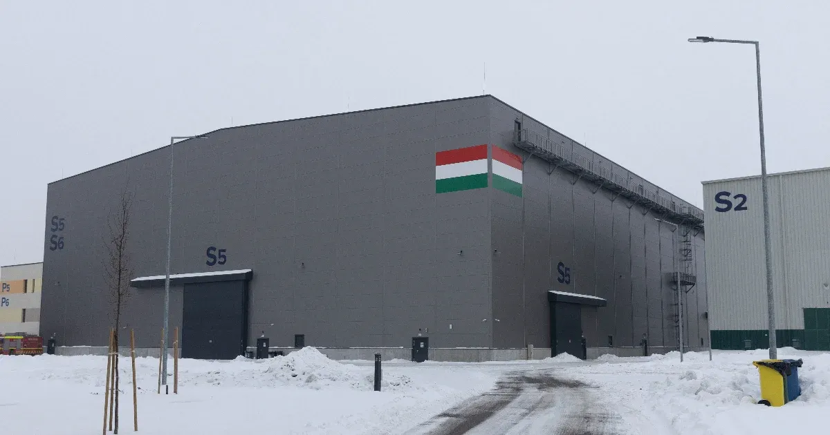Új vezetés a Nemzeti Filmintézetnél: Ideiglenes Döntőbizottságok kinevezése Új vezetés a Nemzeti Filmintézetnél: Ideiglenes Döntőbizottságok kinevezése