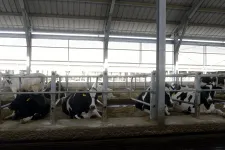Állami kamattámogatás indul a tejipari válság enyhítésére