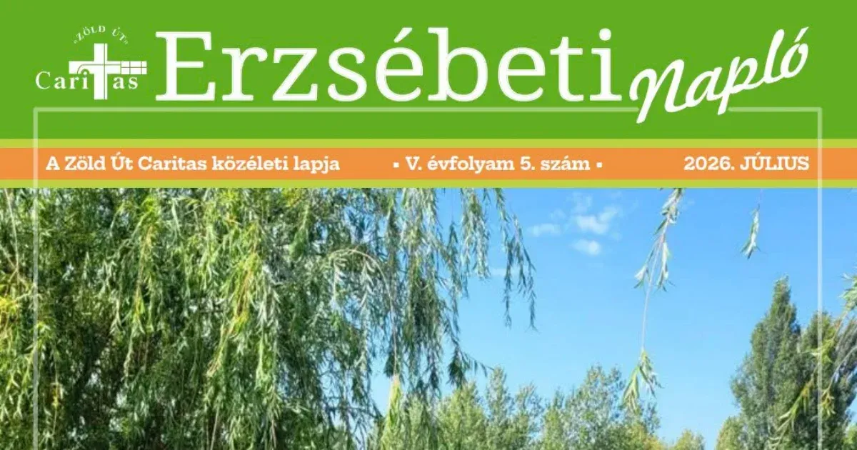 Állami Támogatások és Politikai Üzenetek a Pesterzsébeti Erzsébeti Naplóban