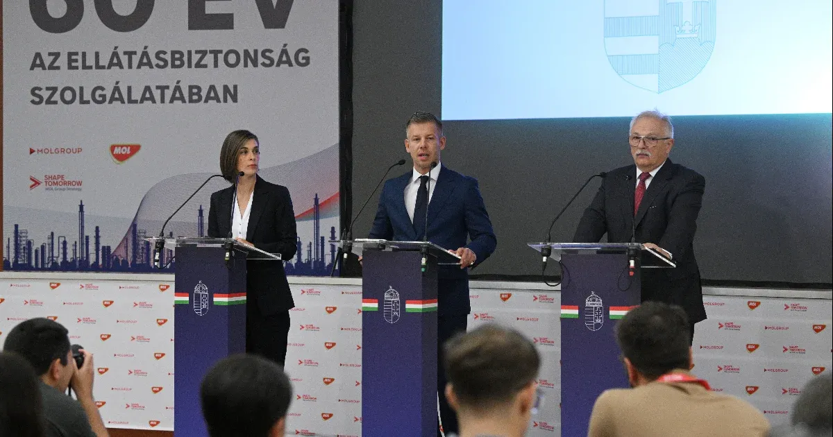 Magyar Péter az energiacsökkentésről: Mielőtt a cégek elküldik a felajánlásaikat, szorozzák meg kettővel