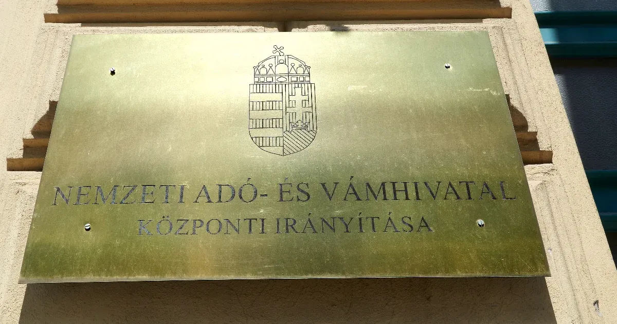 Majdnem ötvenen jelentkeztek a NAV vezetőjének