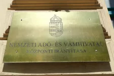 Majdnem ötvenen jelentkeztek a NAV vezetőjének