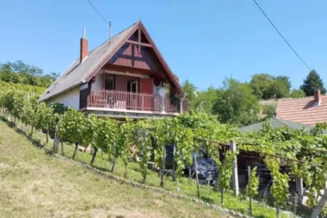 Saját szőlő, saját bor: pinceromantika a vízparti áraknál jóval olcsóbban