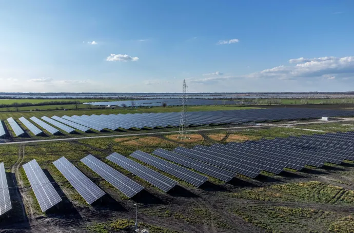 Fotovoltaikus panelek az MVM Zöld Generáció Kft. 23,97 megawatt teljesítményű naperőművében, Szeged határában, 2023. március 21-én – Fotó: Rosta Tibor / MTI
