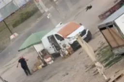 Így néz ki a drónháború: egy piaci árust üldözött egy orosz drón Herszonban