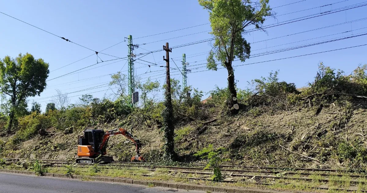 Photo: Telex MÁV Seeks First Chief Landscape Architect Amid Railway Green Space Overhaul