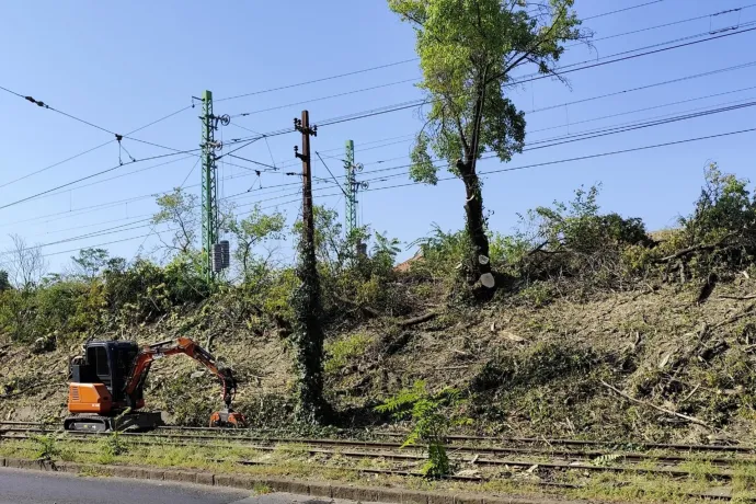 Főtájépítészt keres a MÁV, Vitézy szerint újra kell gondolni a vasút menti zöldterületek kezelését