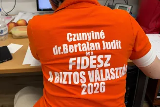 Czunyiné szerint a Védvonal már a Google szemét is csípi, ezért tilthatták le a szervezet gmailes címét