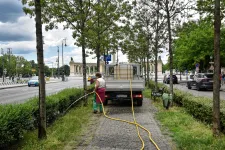 A főváros szerint túllépett a hatáskörén a minisztérium, amikor be akarták tiltani a parkok locsolását