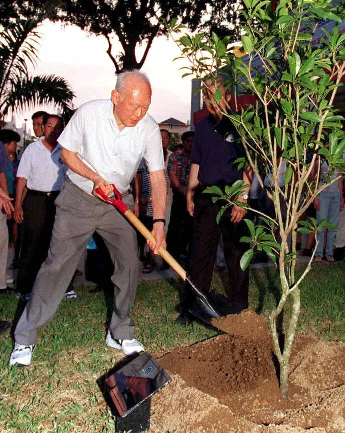 Li Kuang-jao faültetés közben 1999-ben – Fotó: Straits Times / AFP