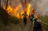 Egy műhold észreveszi, egy MI elemzi, a drónflotta pedig már ugrik is eloltani