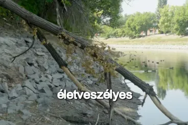 Többen átsétáltak a Dunán a Sziget területére, a szervezők szerint ez ugyan jó poénnak tűnik, de veszélyes