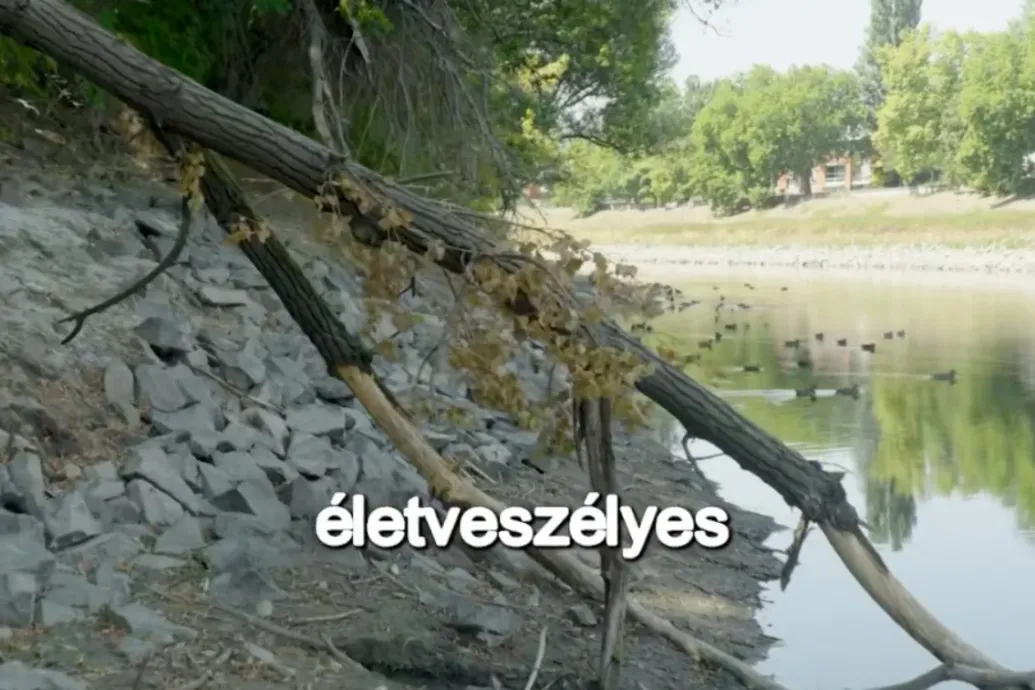 Többen átsétáltak a Dunán a Sziget területére, a szervezők szerint ez ugyan jó poénnak tűnik, de veszélyes