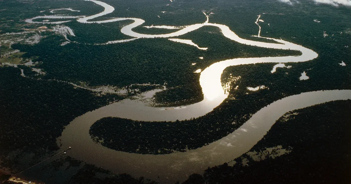 Miért nincsenek hidak az Amazonas fölött? Miért nincsenek hidak az Amazonas fölött?