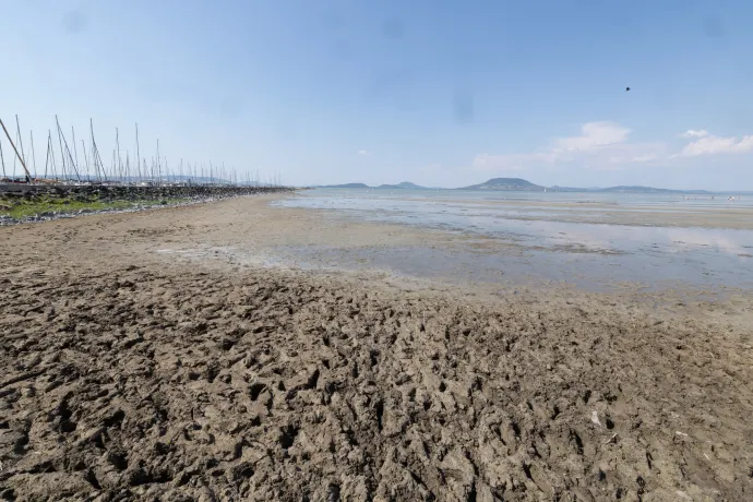 A balatonfenyvesi szabadstrand 2026. augusztus 3-án – Fotó: Bődey János / Telex