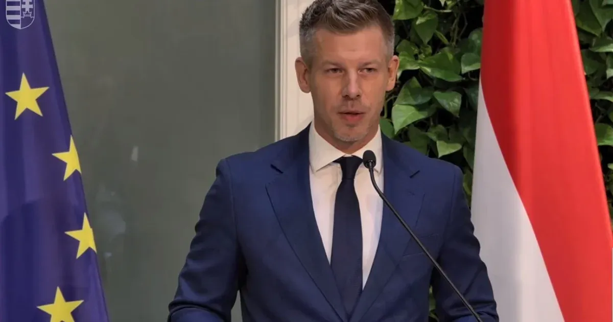 Magyar Péter szerint nem lesznek meglepetések a köztársasági elnökjelöltek nevei között