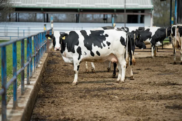 Korábbi időpontban, már augusztus közepén elkezdődik az agrártámogatások előlegfizetése