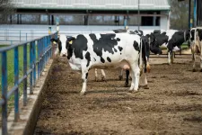 Korábbi időpontban, már augusztus közepén elkezdődik az agrártámogatások előlegfizetése