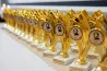 Széchenyi family launches battle for its name