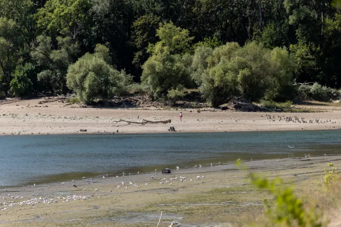 Csökken a Duna vízszintje a következő napokban, és alacsony is marad