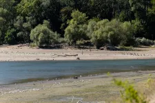 Csökken a Duna vízszintje a következő napokban, és alacsony is marad
