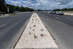 Már egy négyzetméterrel kevesebb beton fél napnyi légkondis hűtést hozna a környezetnek éves szinten
