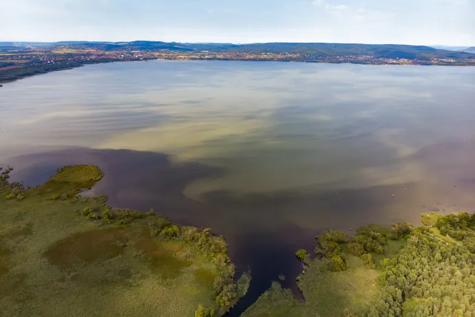Algafoltok a Balatonon a Zala folyó torkolatánál, 2019. szeptember 11-én – Fotó: Varga György / MTI