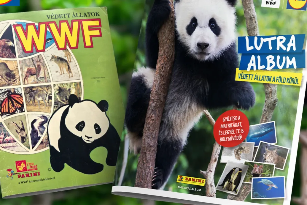 Matricacserék újratöltve: harminc év után visszatér a WWF Lutra album