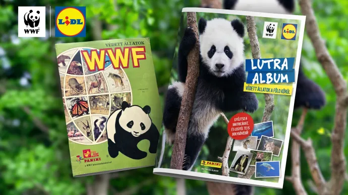 Fotó: WWF