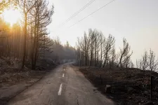 Meddig marad népszerű egy turistacélpont, ha az erdőtűz elől kell menekülni?