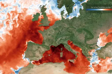Mint a pisi: 4-5 fokkal melegebbek a tengerek Európában a sokévi átlagnál