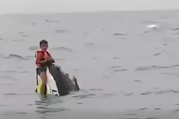 16 órán át kapaszkodott a felborult jet-skibe két kisfiával a nyílt vízen egy apa Thaiföld partjainál