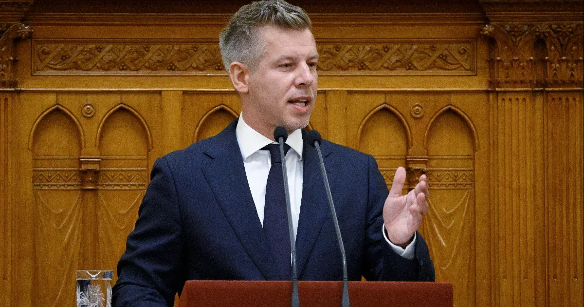 Magyar Péter felszólította azokat a civileket, akik szerinte jogosulatlanul kaptak állami támogatást, hogy még ma fizessék vissza
