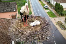 A klímaváltozás összezavarta a költöző madarak vonulási idejét