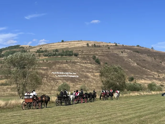 Lovas ünnep a Kriegel lovaspályán – Fotók: Tőkés Hunor / Transtelex