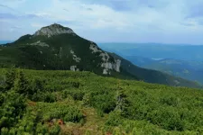 Szikláról zuhant le egy Kolozs megyei turista a Csalhó-hegységben