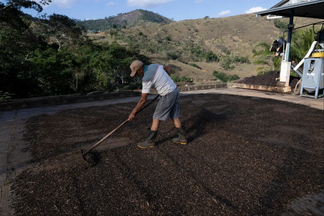 Túl sok eső esett a brazil kávébab-ültetvényeken, június óta máris drágult az arabica ára