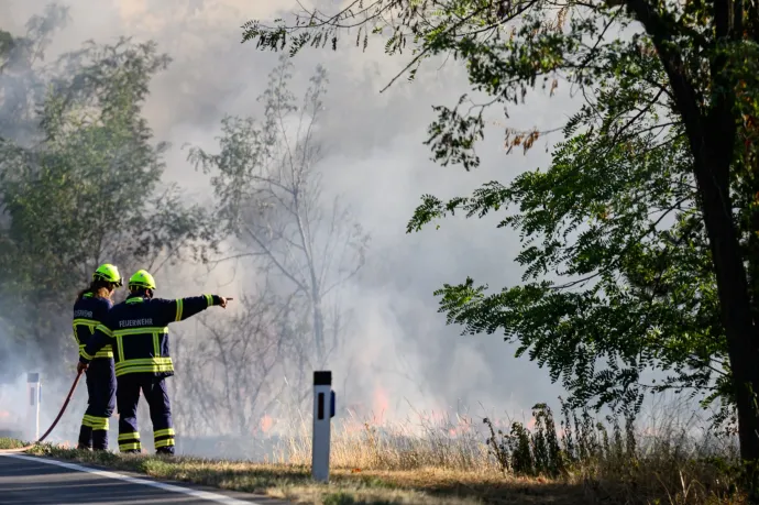 Izgalmat akart az osztrák tűzoltó, ezért gyújtogatott Burgenlandban