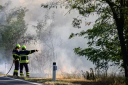 Izgalmat akart az osztrák tűzoltó, ezért gyújtogatott Burgenlandban