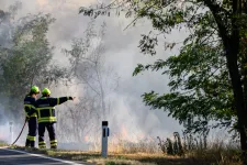Izgalmat akart az osztrák tűzoltó, ezért gyújtogatott Burgenlandban