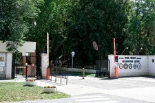 Túl van a műtéten, teljesen felépülhet a lezuhant Gripenből katapultált pilóta