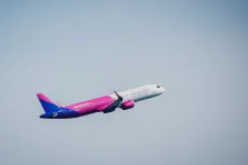 A Wizz Air szívesen átvenné a román állami légitársaság belföldi járatait, a Tarom szerint sértő a felvetés