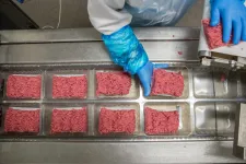 Megmagyarázta az agrárminisztérium, miért zárta ki egy már megnyert pályázatból Mészáros Lőrinc pulykafeldolgozóját