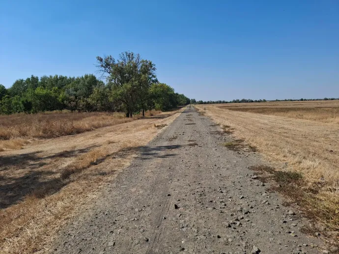 A kísérőkkel a töltés mellett és egyedül a hőségben – Fotó: Jakab Győző / Facebook