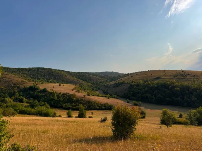 A Kékesen és a Cserhát dombjain – Fotó: Jakab Győző / Facebook